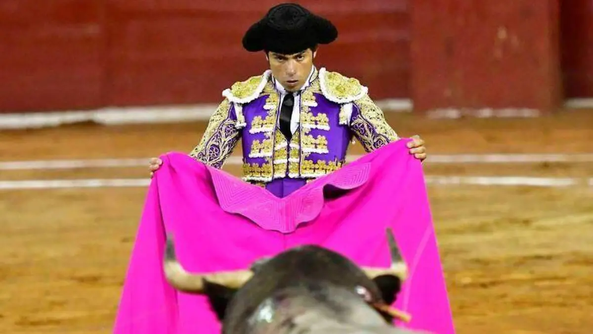 Toros en San Luis